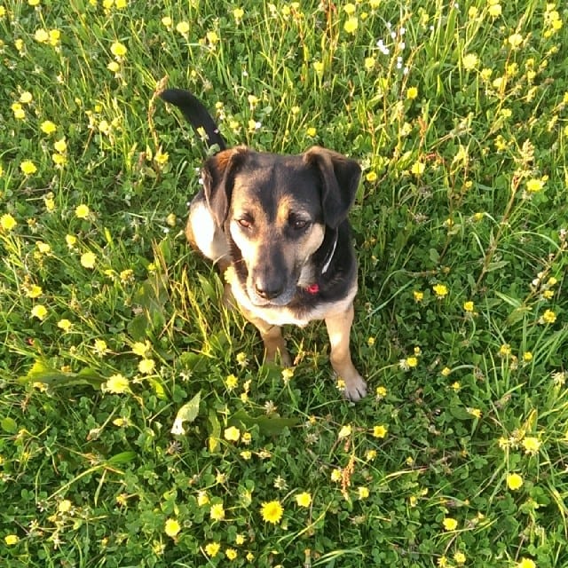 #pmdd15 - Picture my Day Day 15