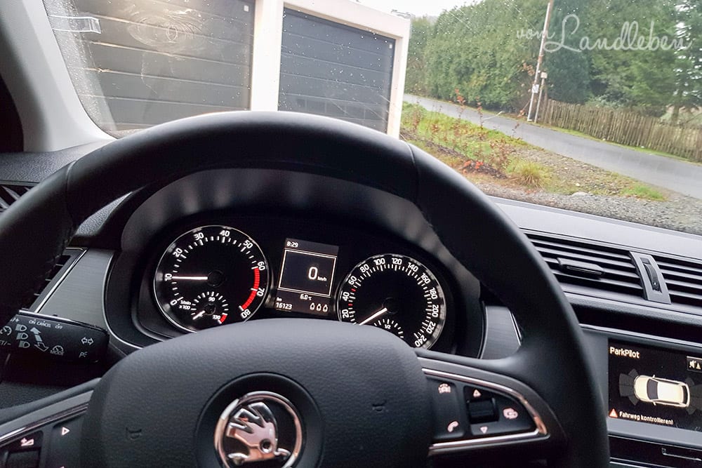 #pmdd25 – Picture my Day-Day