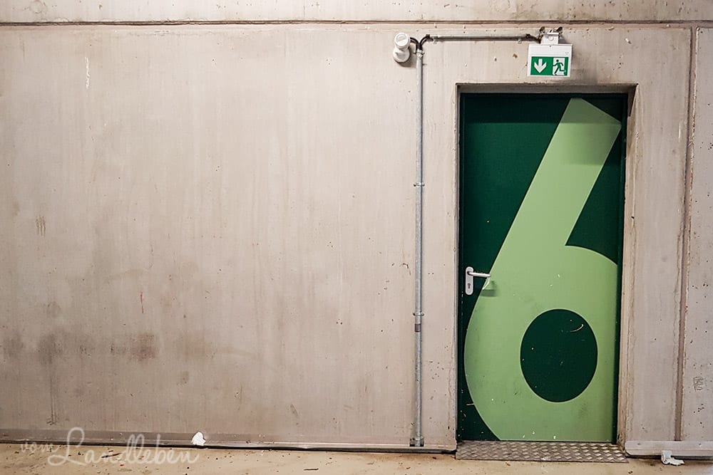 #pmdd25 – Picture my Day-Day