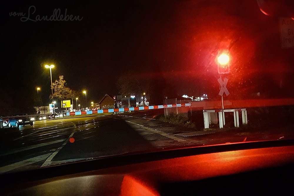 #pmdd25 – Picture my Day-Day