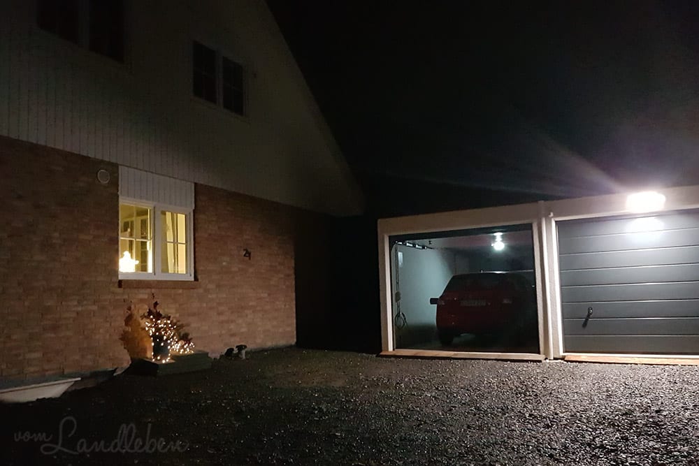 #pmdd25 – Picture my Day-Day