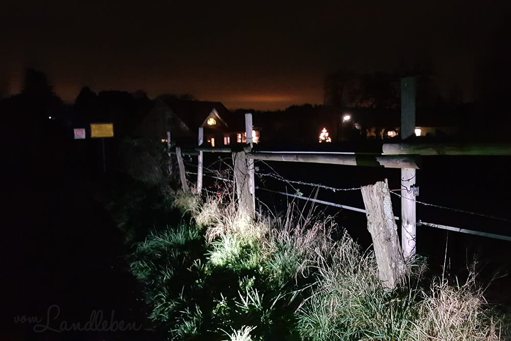 #pmdd25 – Picture my Day-Day