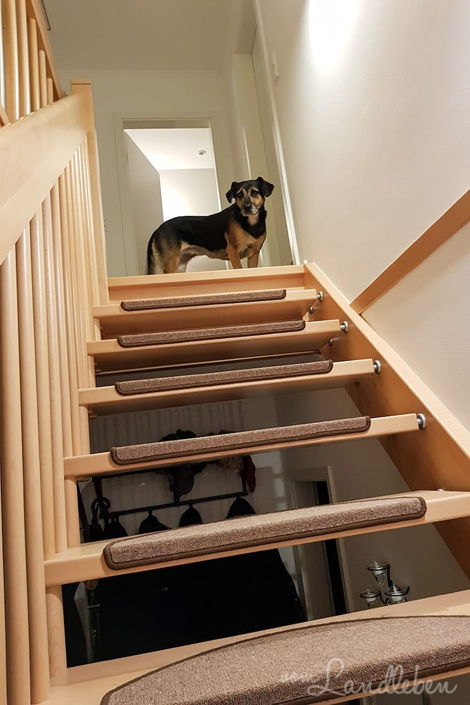 #pmdd25 – Picture my Day-Day