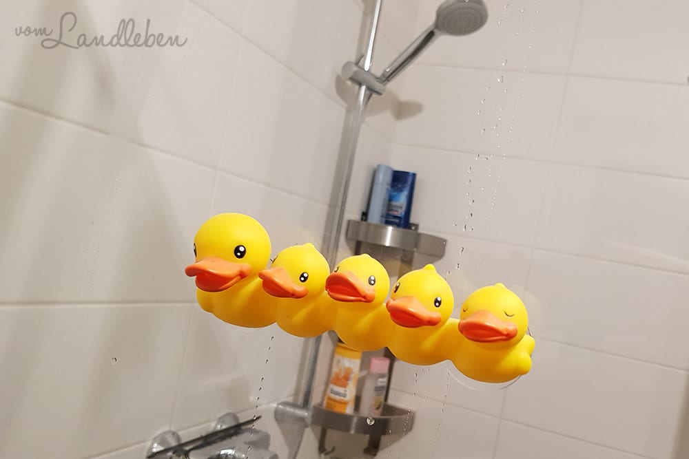 #pmdd25 – Picture my Day-Day