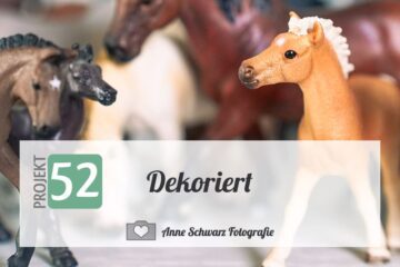 Projekt 52 – Dekoriert – Schleichpferde