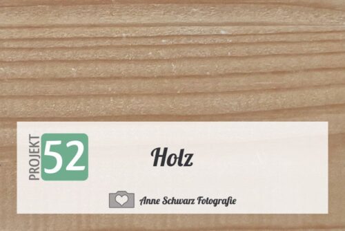Projekt 52 – Holz