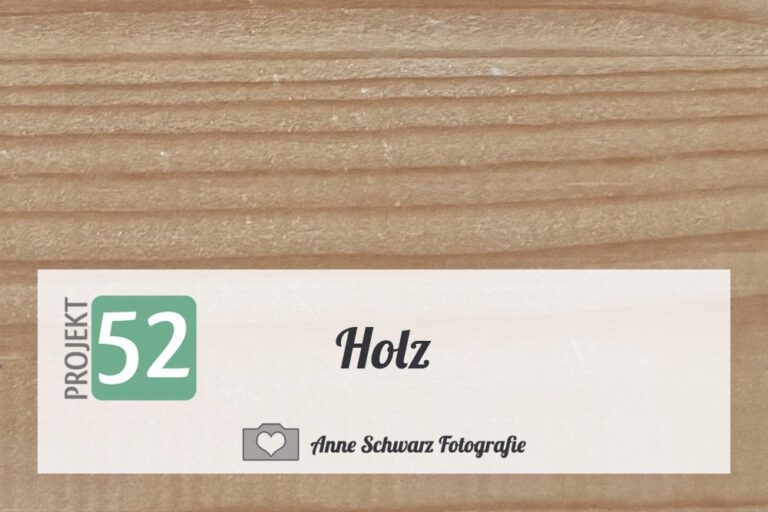 Projekt 52 – Holz