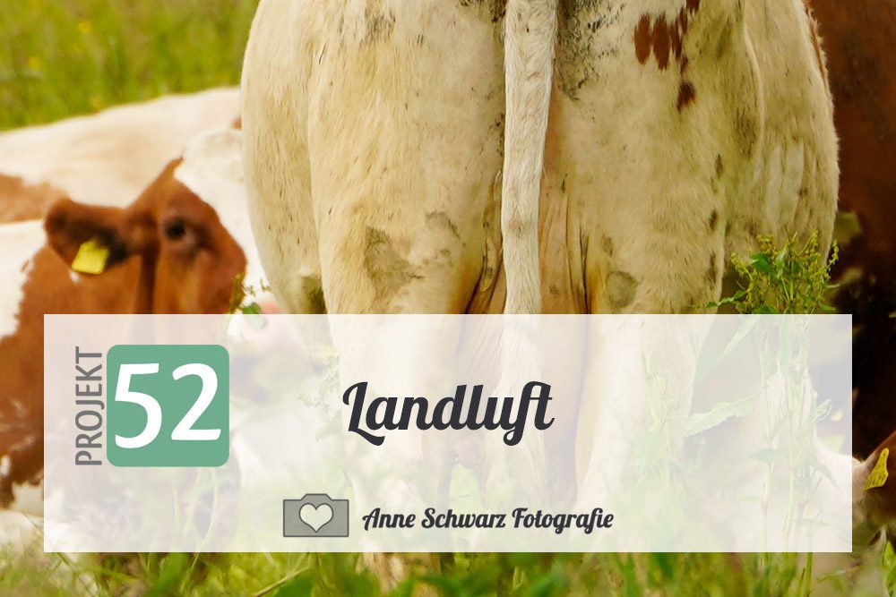 Projekt 52 – Landluft