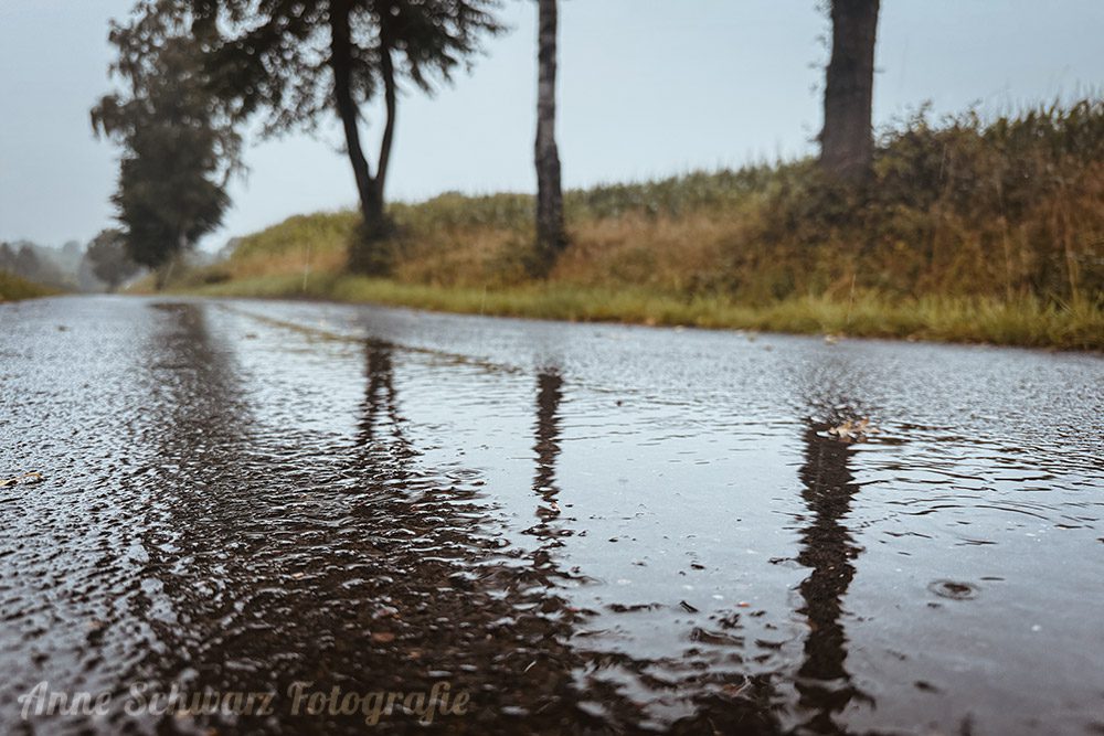Projekt 52 – Mehr als genug – Regenwetter