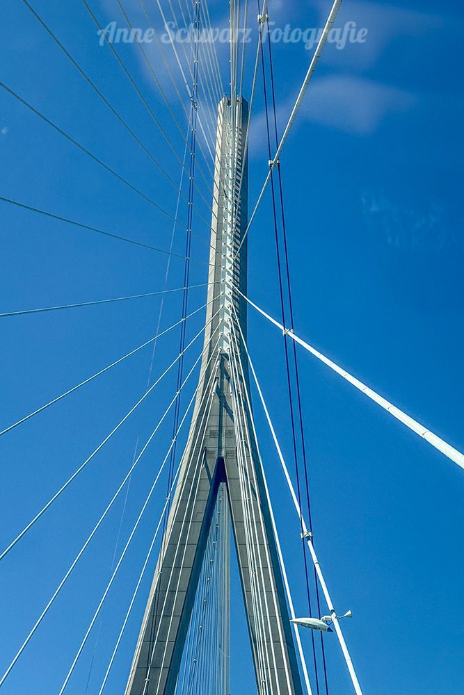 Projekt 52 - Pont de Normandie