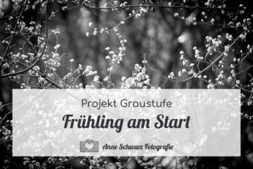 Projekt Graustufe – Frühling am Start