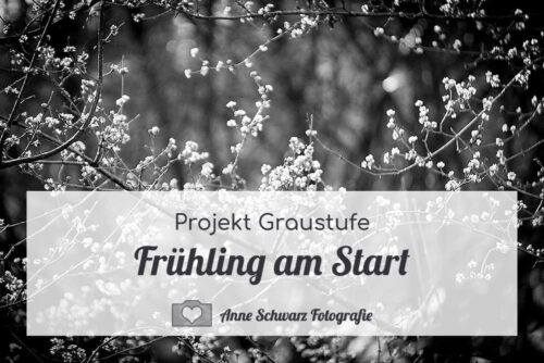 Projekt Graustufe – Frühling am Start