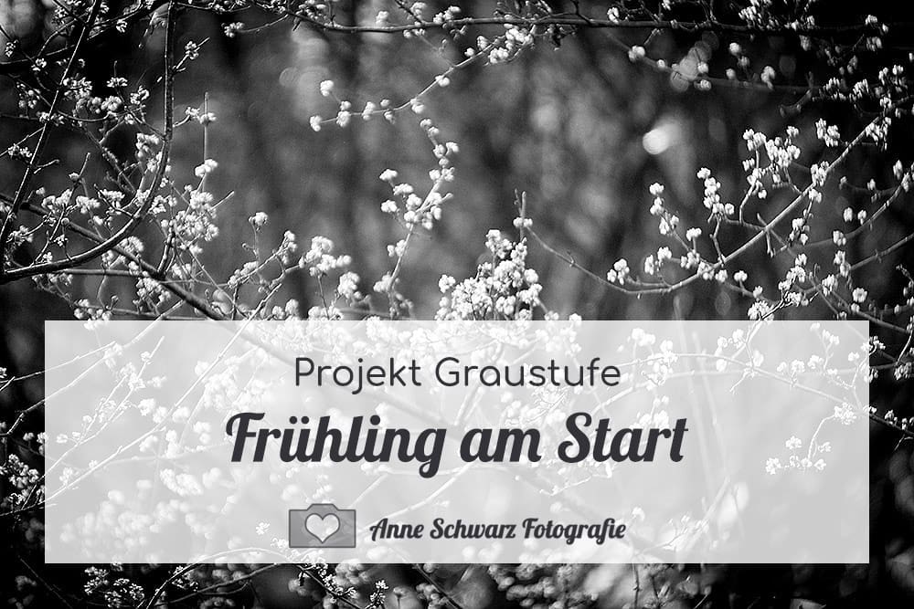 Projekt Graustufe – Frühling am Start