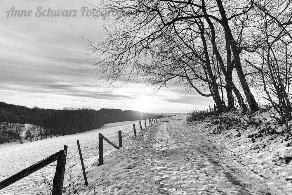 Projekt Graustufe - Winterlandschaft