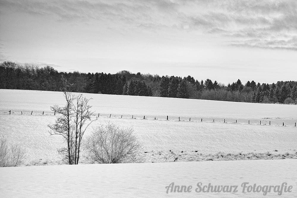 Projekt Graustufe - Winterlandschaft
