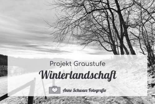 Projekt Graustufe – Winterlandschaft