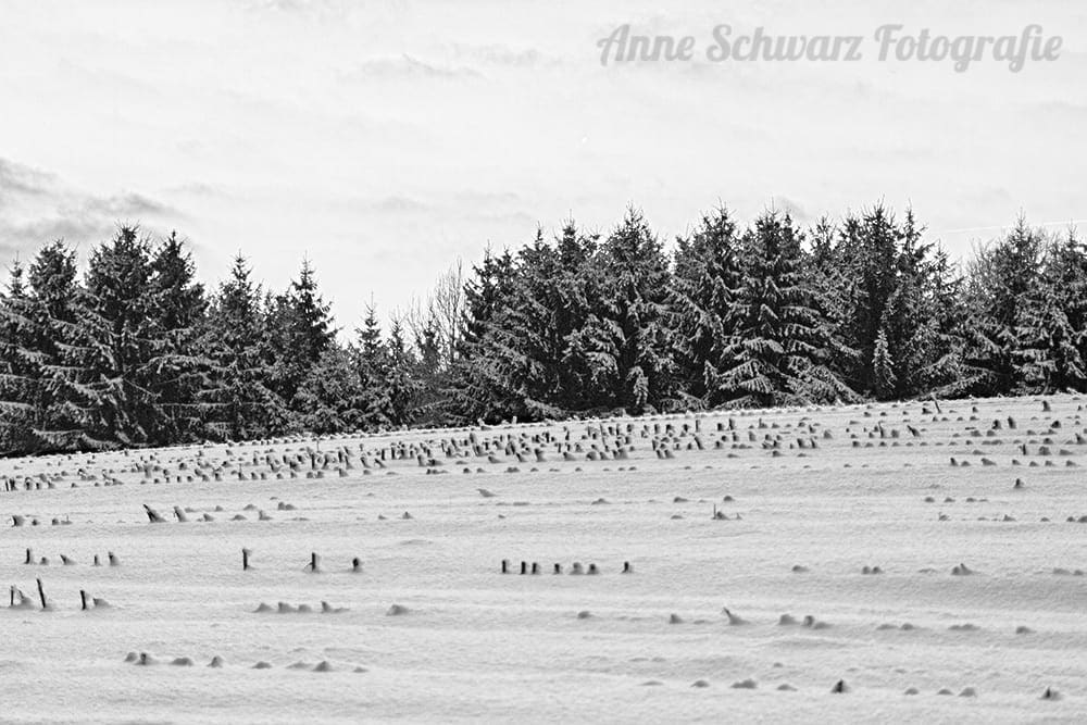 Projekt Graustufe - Winterlandschaft