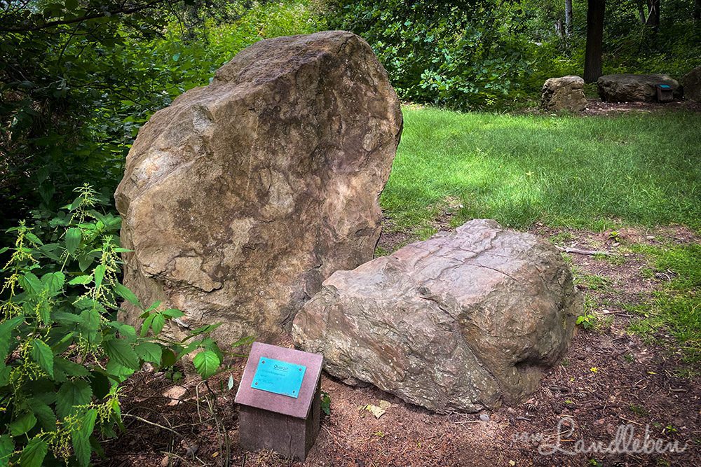 Quarzit im Geopark Tannenbusch
