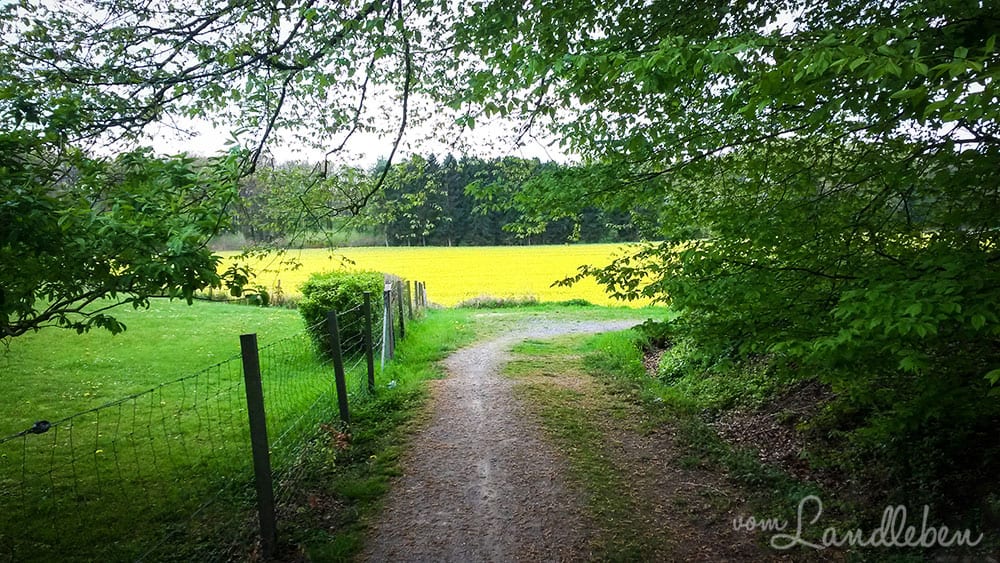 Radtour von Leverkusen ins Bergische Land