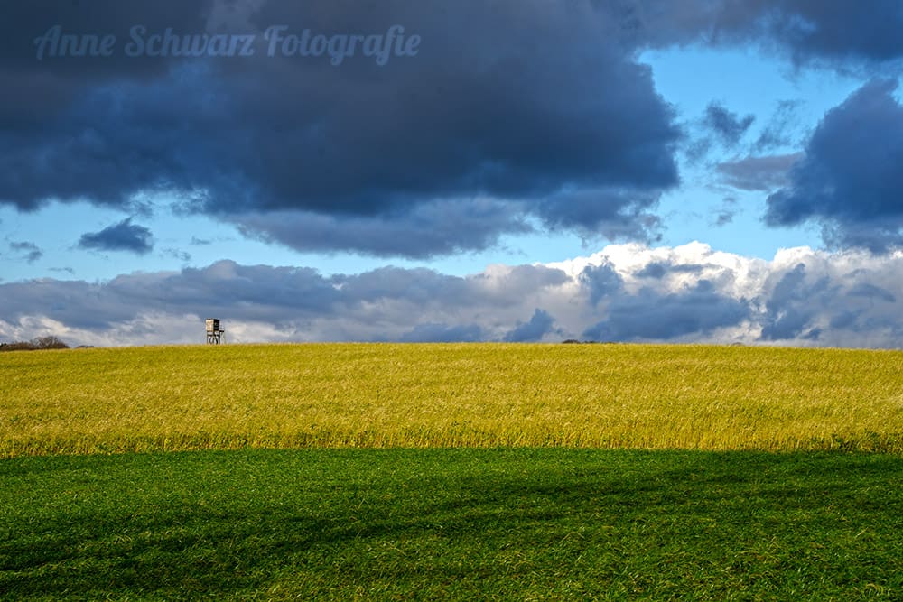 Regenwolken über Feldern
