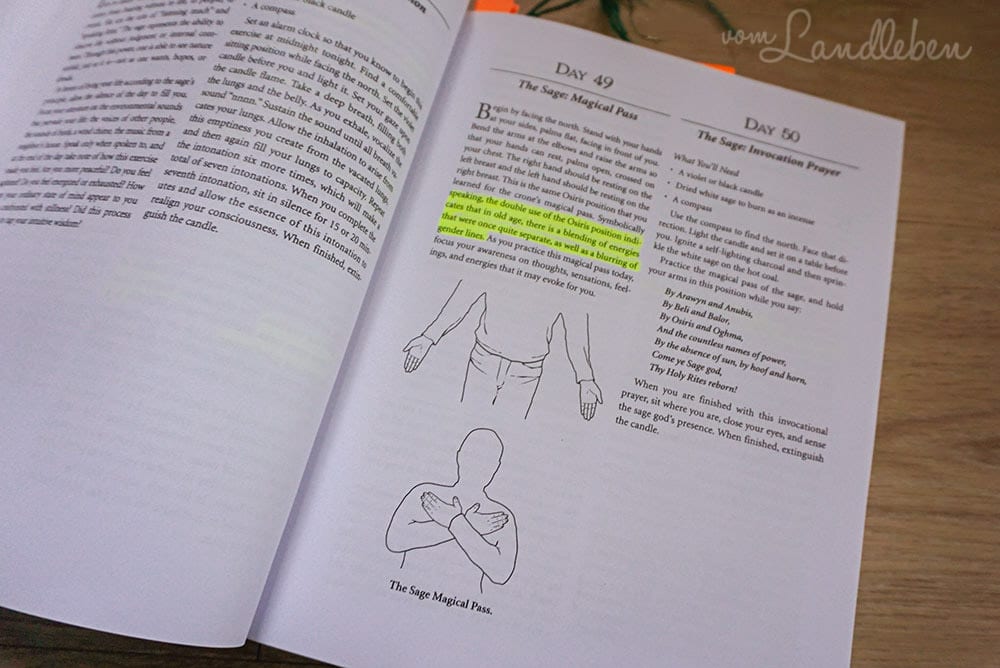 Rezension - Wicca: A Year and a Day - Timothy Roderick