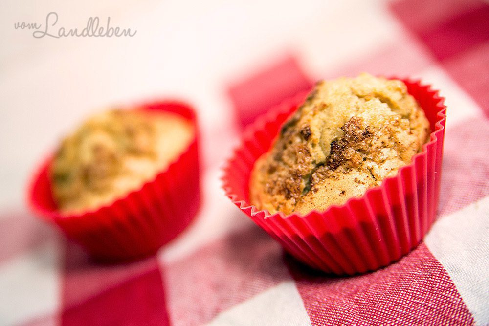 Rezept: Apfelmuffins mit Zimt