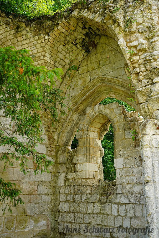 Ruine der Abtei in Jumièges