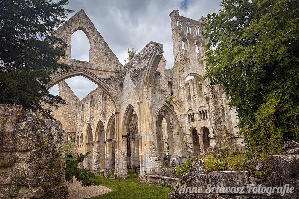 Ruine der Abtei in Jumièges