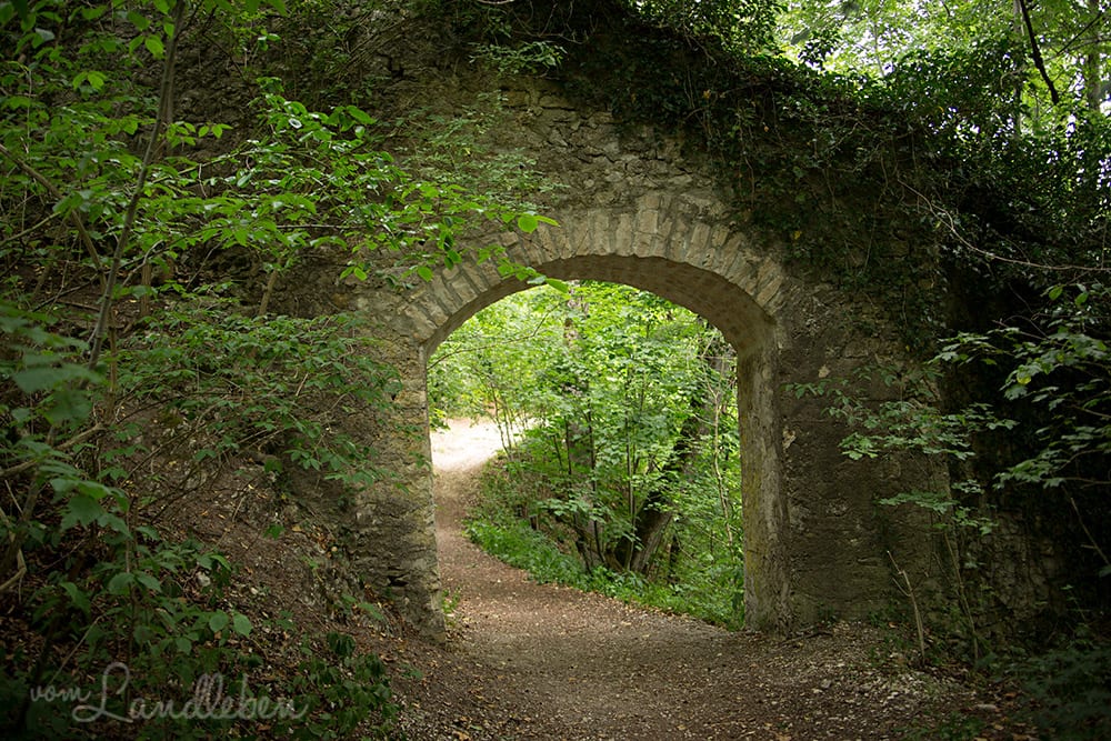 Ruine Hohengerhausen / Rusenschloss