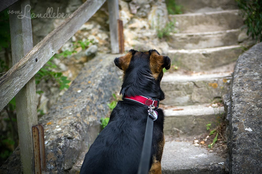 Ruine Hohengerhausen / Rusenschloss