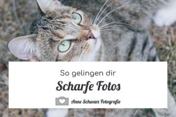 So gelingen dir scharfe Fotos