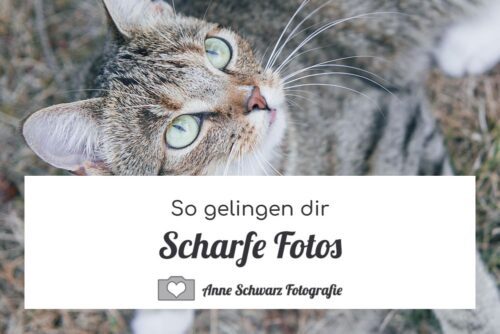So gelingen dir scharfe Fotos