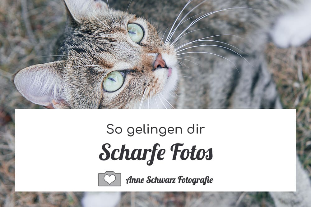 So gelingen dir scharfe Fotos