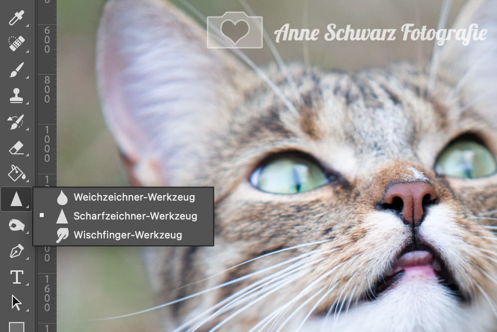 Scharfzeichnen in Photoshop