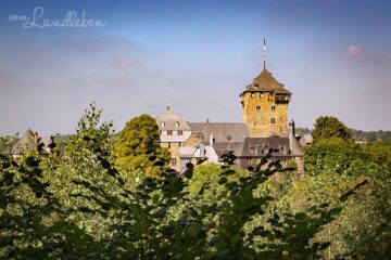 Schloss Burg