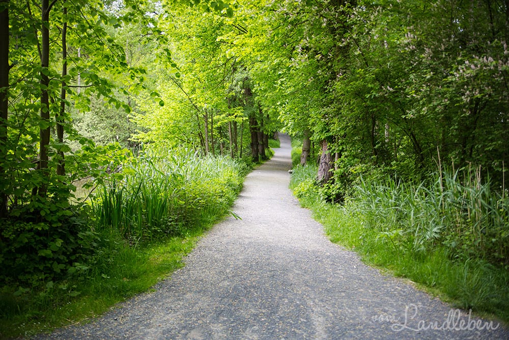 Schloss Eulenbroich in Rösrath