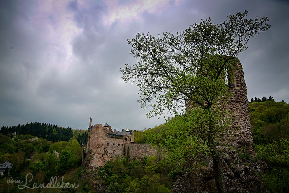Schloss Oberstein und Burg Bosselstein