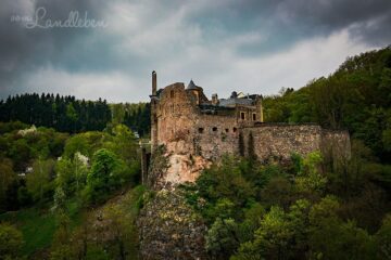 Schloss Oberstein