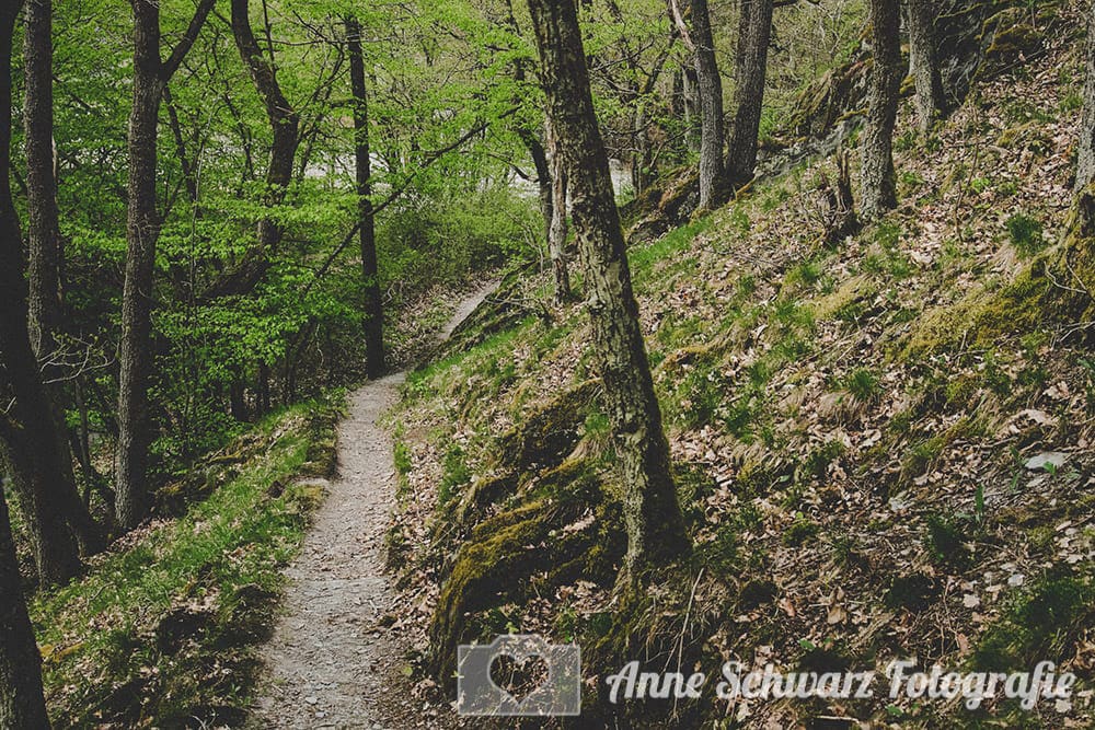 Schmaler Waldweg