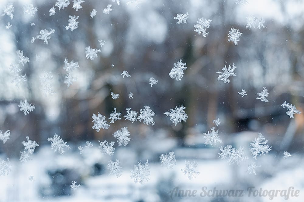 Schneeflocken an der Fensterscheibe
