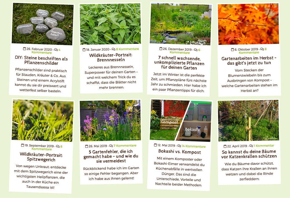 screenshot-artikelvorschau-vom-landleben