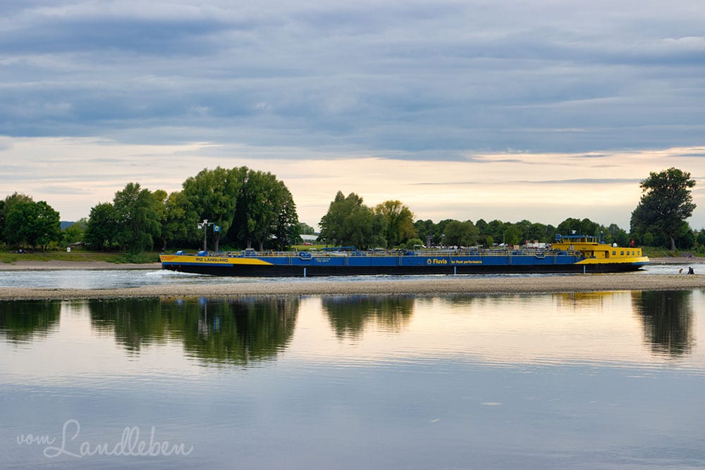 An der Siegmündung in den Rhein