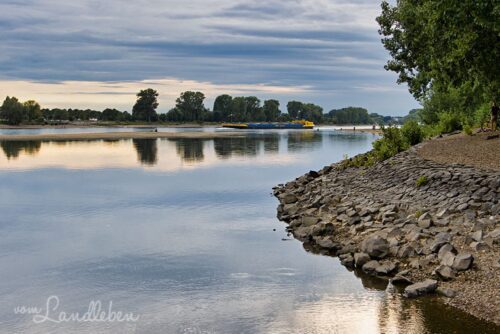 Siegmündung in den Rhein