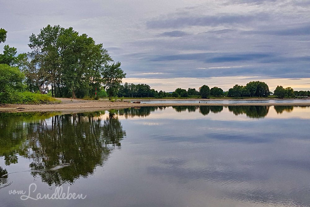 Siegmündung in den Rhein