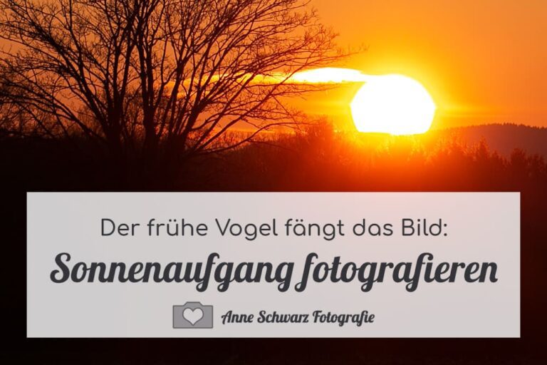 Sonnenaufgang fotografieren