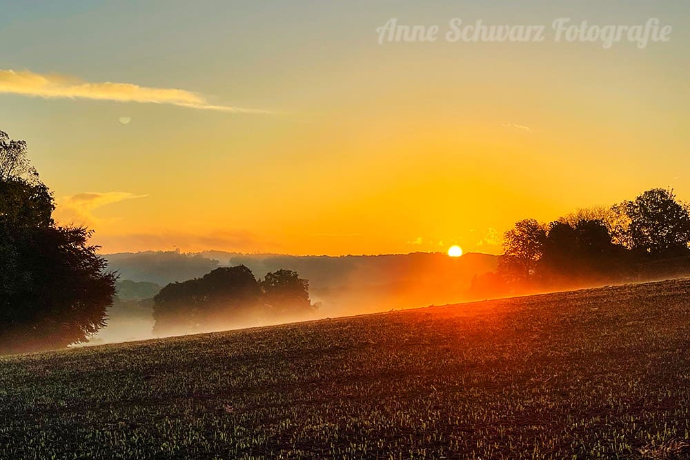 Sonnenaufgang mit Frühnebel