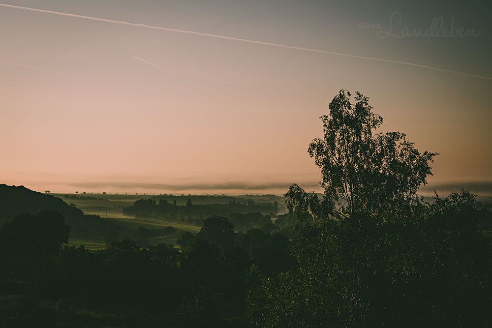 Sonnenaufgang über der Rheinebene