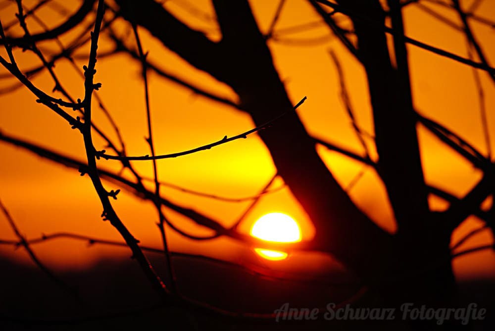 Sonnenuntergang fotografieren