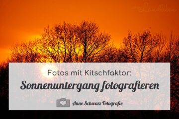 Sonnenuntergang fotografieren