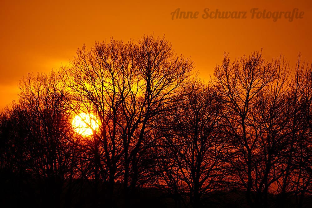 Sonnenuntergang